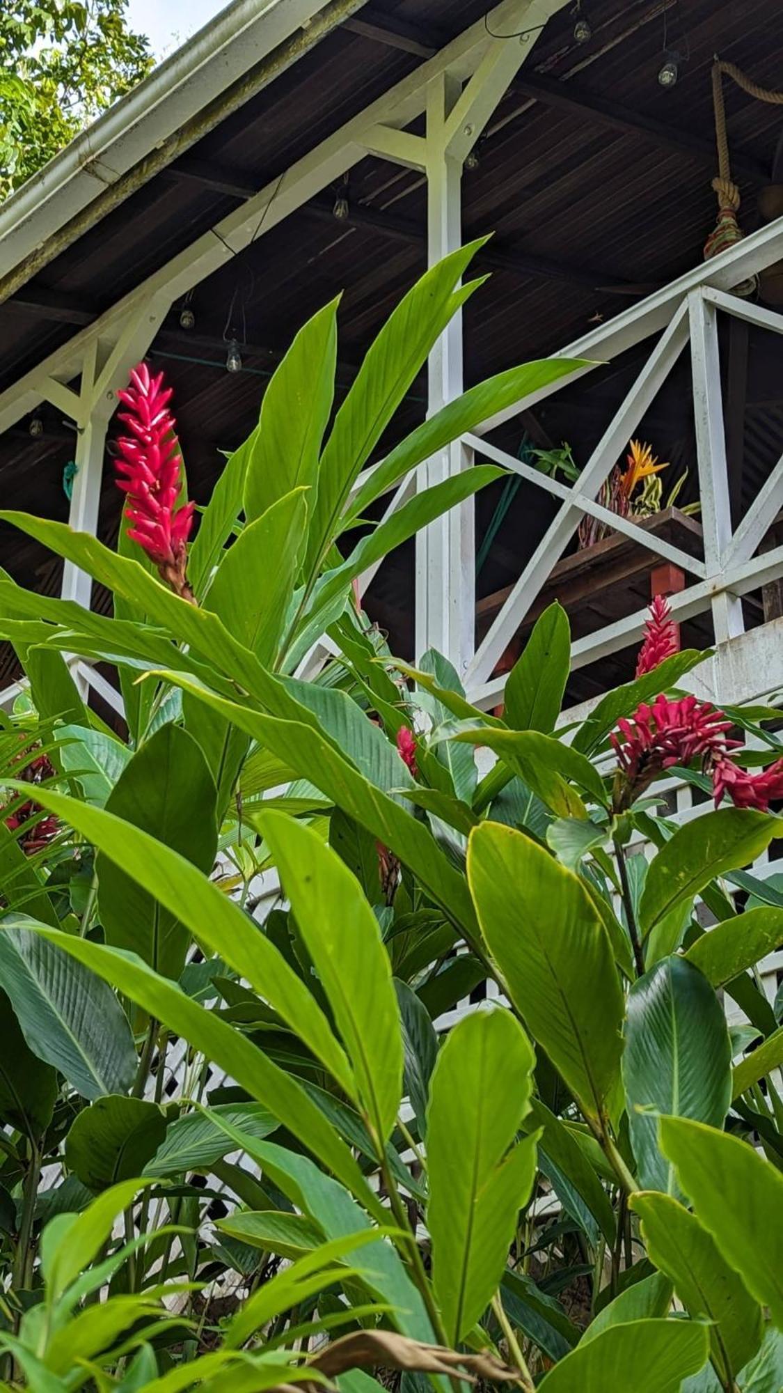 Ecolodges Karet เดเอ ภายนอก รูปภาพ